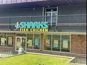well-established shark s fish
