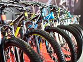 beloved bicycle shop with
