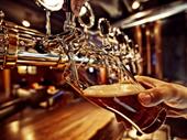 bar tavern with real