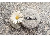 weight loss wellness center