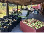 whidbey island turnkey cidery