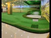 premier 23-year-old synthetic turf