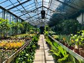 established retail garden center