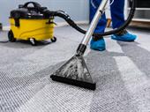 established earth-friendly carpet floor