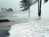 storm restoration business with