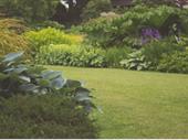 high quality landscaping yard