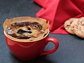 thriving turnkey coffee roastery