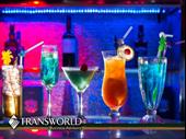 100 absentee sports bar-lounge