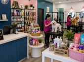 premier pet grooming business