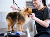 turnkey pet grooming franchise