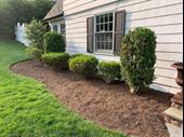niche landscaping business with