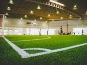 established indoor turf sports