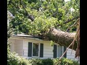roof siding window restoration