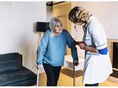 non-medical-home care franchise