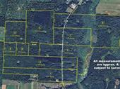 premier 735-acre hunting timber