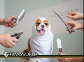 6-year established dog boarding