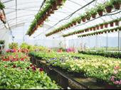 established retail garden center