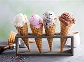 premium ice cream shop-ft