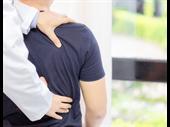 established chiropractic practice north
