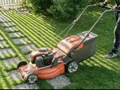 20 year established lawn