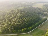 expansive hunting homestead land