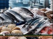 own miami's seafood supply