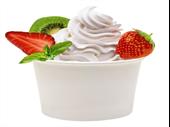 successful yogurt franchise business