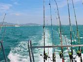 fishing equipment distributor