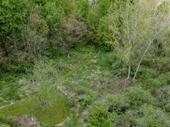 secluded wooded land north