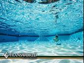 well-estalished pool service broward