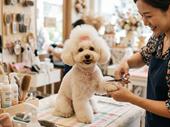 established dog grooming salon
