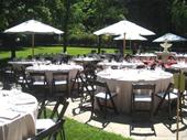 established party event rentals