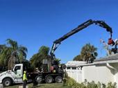 well established tree business