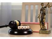 established bail bonds business