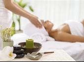 semi-absentee established wellness spa