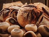 profitable artisan bakery strong