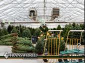 established nursery garden center