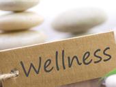 well-known health wellness franchise