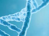 arizona clia laboratory active