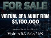 virtual cpa audit firm