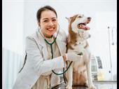 spacious west valley veterinary