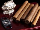 profitable cigar smoke shop