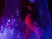 adult club pasco county