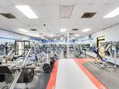 complete health wellness ecosystem