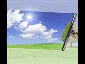 lucrative window cleaning business