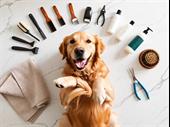 turnkey pet grooming self-wash