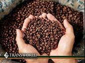 established coffee manufacturing roasting