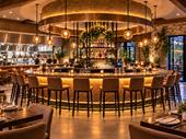 elevated north oc cantina