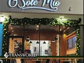 turn-key neapolitan pizzeria biscayne