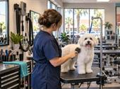 award-winning grooming salon loyal